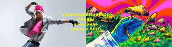 спиды Ессентукская